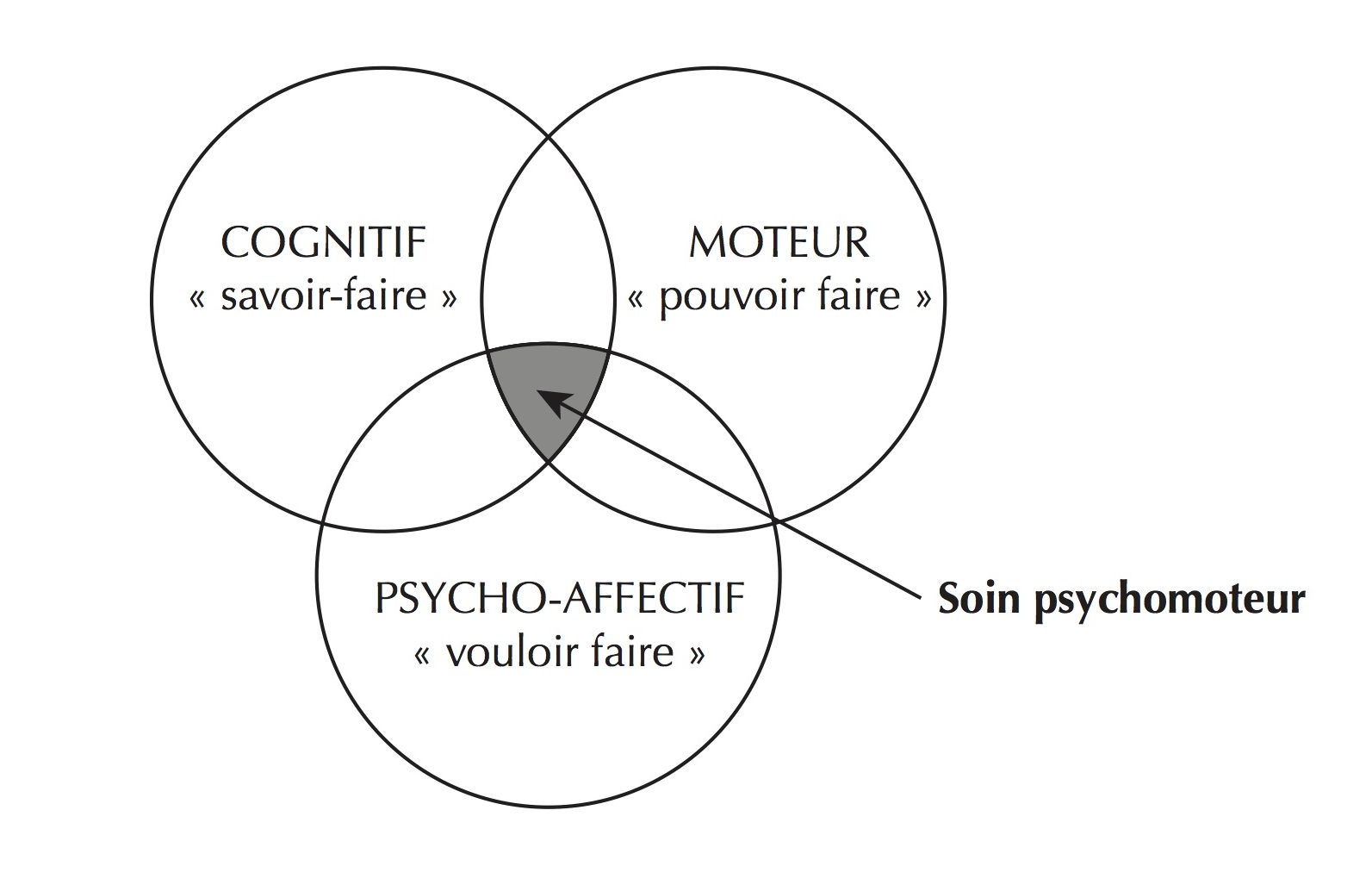 Schema Soin Psychomoteur [100 Idées Psychomotricité] D'Ignazio-Martin ...